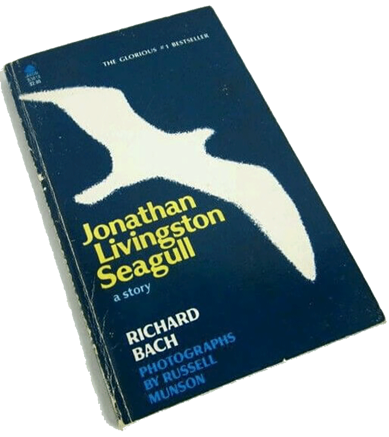 Jonathan Livingston Seagull book