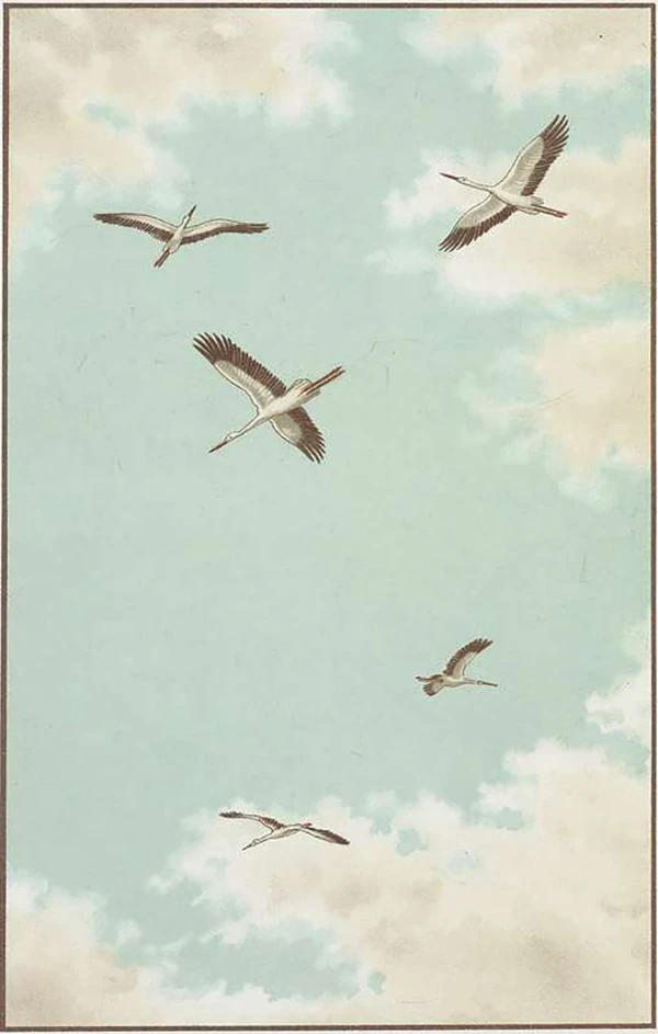 Birdflight as the Basis of Aviation