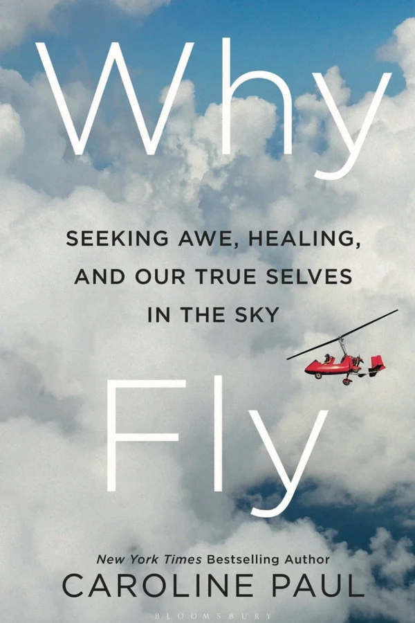 Why Fly book cover